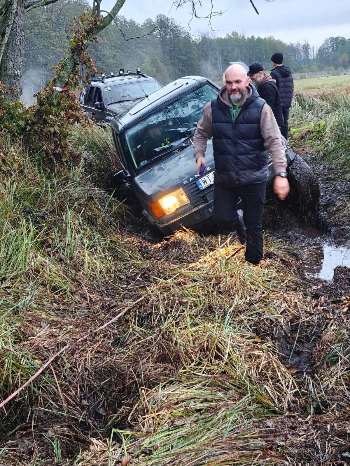 Auto zakopane w podmokłej łące