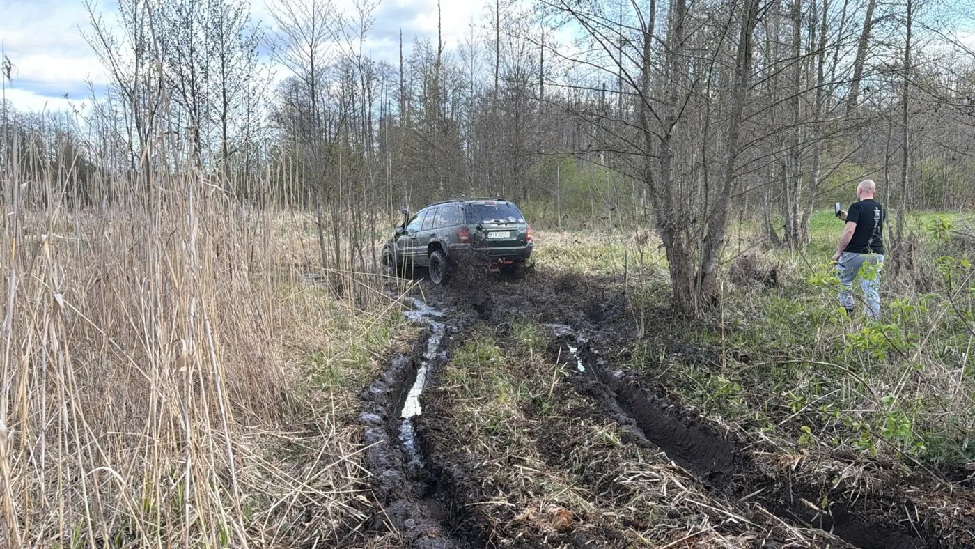 Jeep w głębokich koleinach między trzcinami